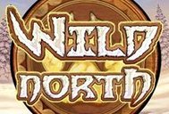 Wild North Radiant Skies Go Collect